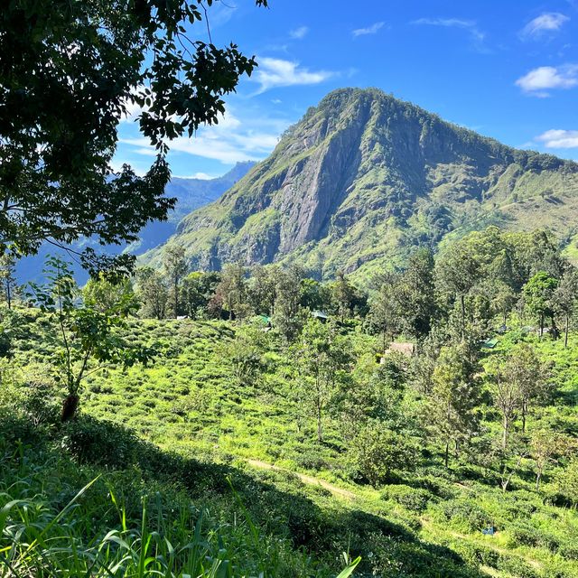 Little Adam’s Peak