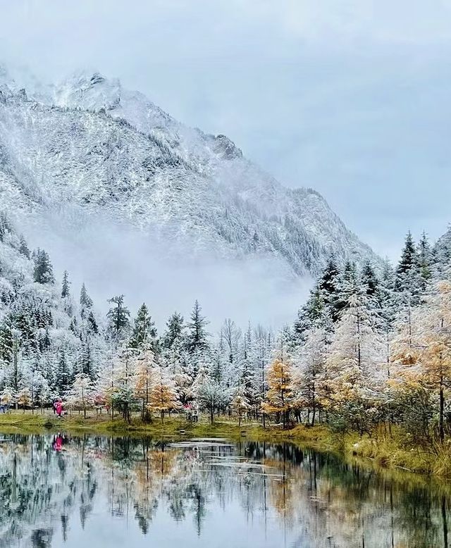 川西畢棚溝攻略｜雪景也是非常不錯