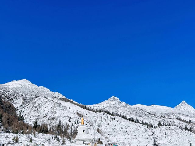 四姑娘山遇見雪山