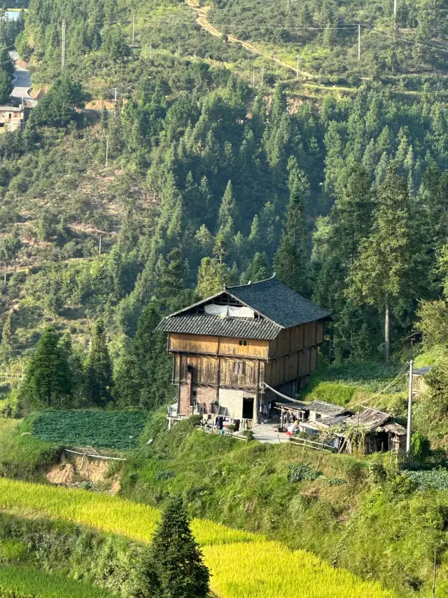 A secluded ancient village found in Guizhou, lost in the sea of clouds above the terraced fields!