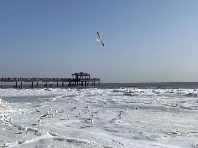 秦皇島冬季旅遊攻略