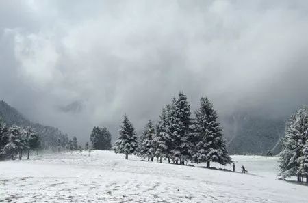 不望拉尕山頂雪，錯將舟曲當江南