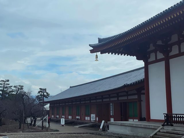 盛唐遺風 藥師寺 『三藏院伽藍』『白鳳伽藍  』