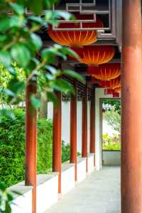 常熟|趙園曾園 湖光山色共一園