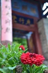 禮拜玄中寺