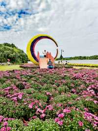 義烏植物園，菊韻醉金秋