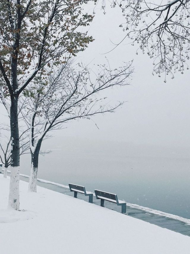 我說！玄武湖雪景簡直不要太美啊