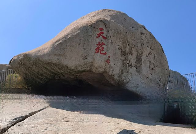 尋找“天下第一壽”——崂山仰口風景遊覽區