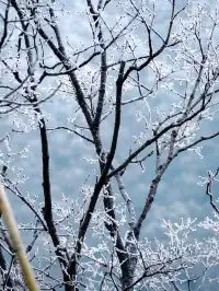 不是四姑娘山去不起，而是龍王山更有性價比