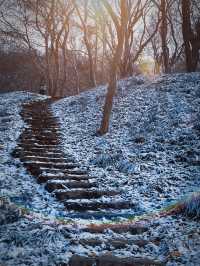 春節反向旅遊，離南京僅①小時的冰雪大世界