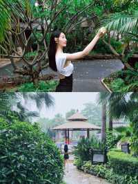在廈門日月谷溫泉被東南亞風情的熱帶綠植包圍