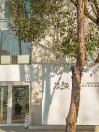 年底團建好去處在森林小院裡享安寧假期