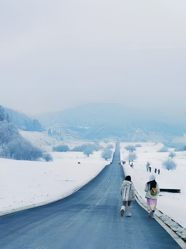 大雪讓這塊寶地裹上了一層銀裝素果，格外耀眼，分外妖嬈