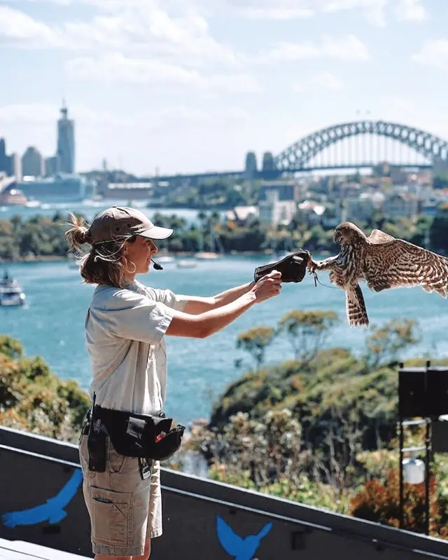 Super practical: 10 must-visit spots for first-time visitors to Sydney