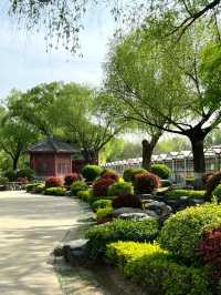陝西西安唐苑新中式打卡地園林公園