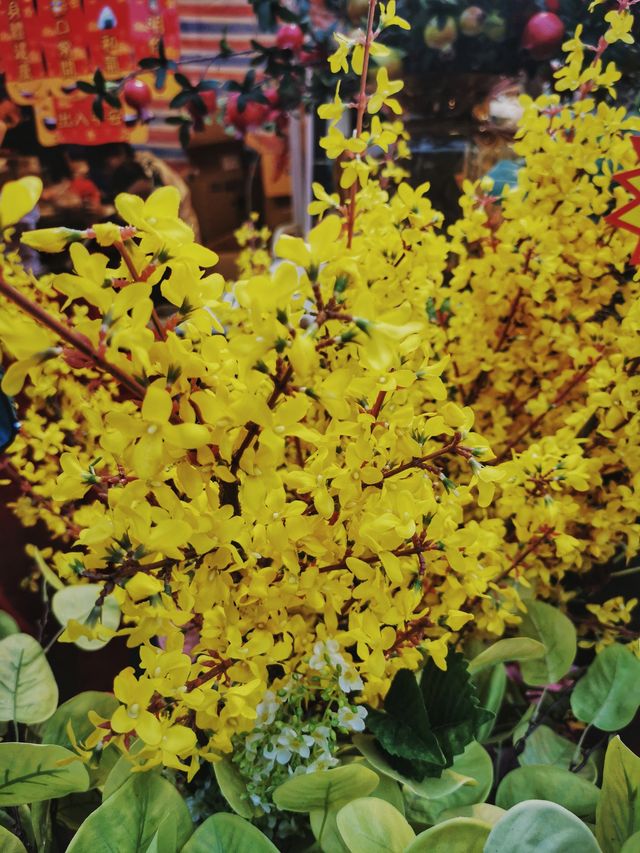 廣州最大的花市——天河花市