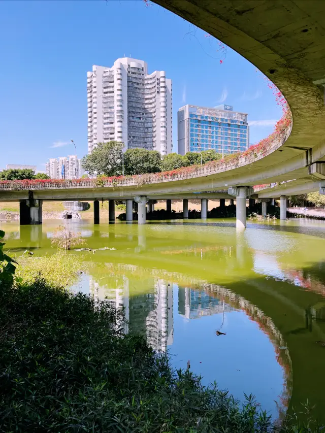 The red of Honghu Park