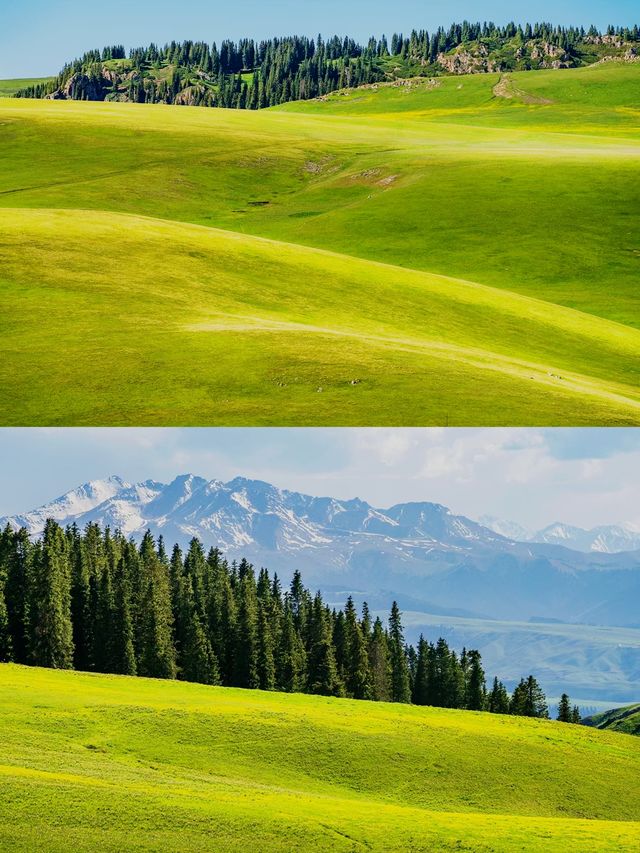 喀拉峻 被《國家地理》稱為最美的立體草原
