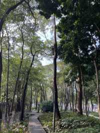 深圳Citywalk：福榮綠道