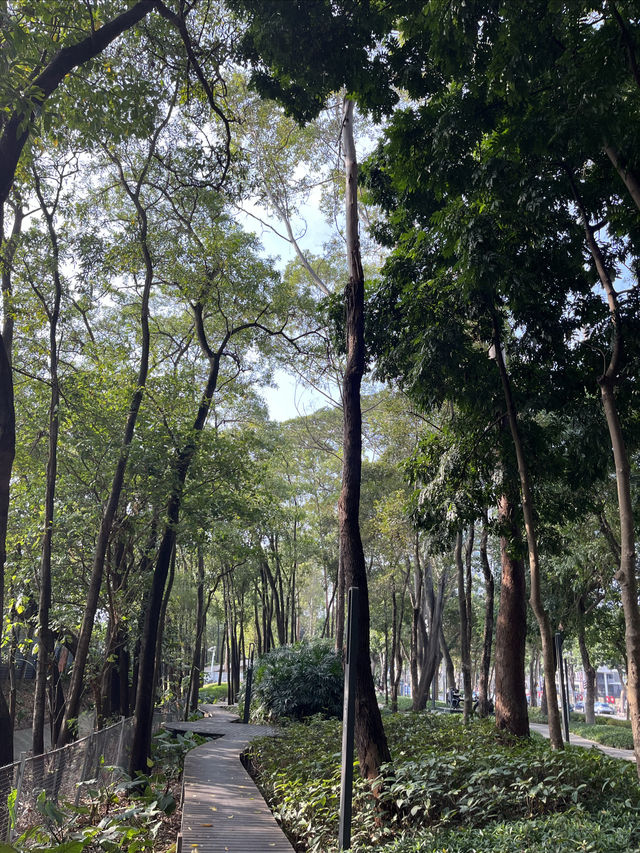 深圳Citywalk：福榮綠道