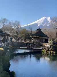 東京·富士山賞櫻一日遊