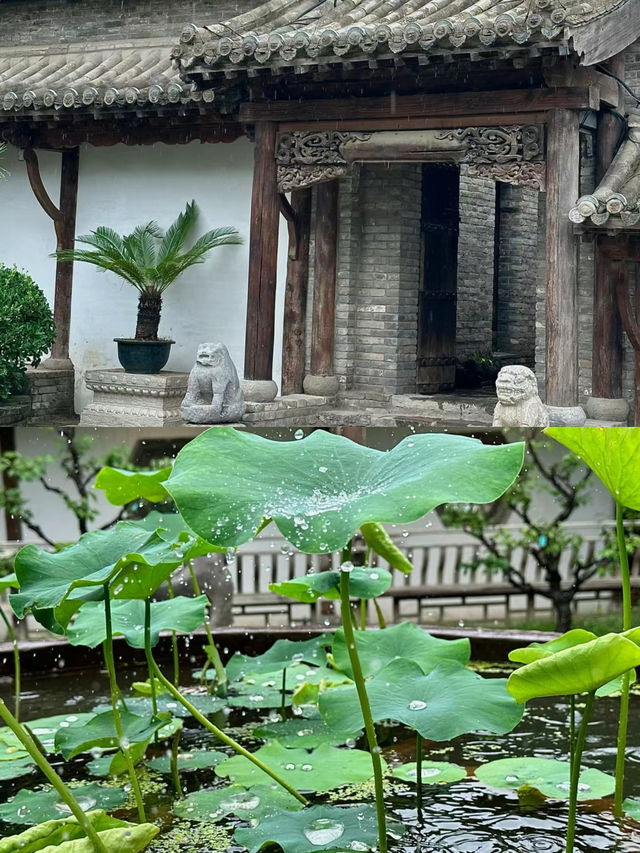 朋友圈被問999次,沒有去蘇州,真的在鄭州~ 朋友圈被問999次,沒有去蘇州,真的在鄭州~