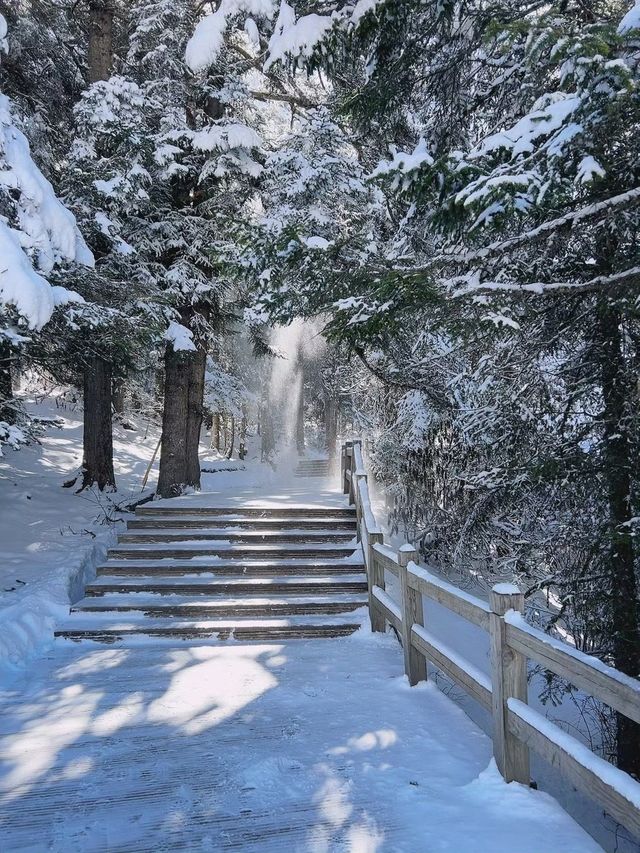 五彩池依然在白雪堆里呢