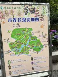 今天去哪兒玩 —— 華南植物園