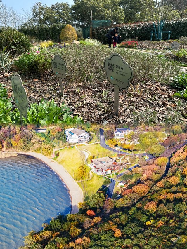 無錫太湖植物園璀璨登場，限時免費暢遊一週