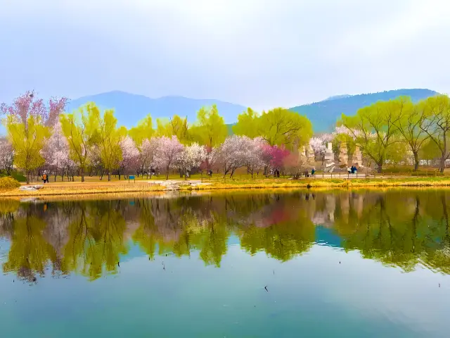 北京｜你知道北緯40度國家植物園賞春路線嗎