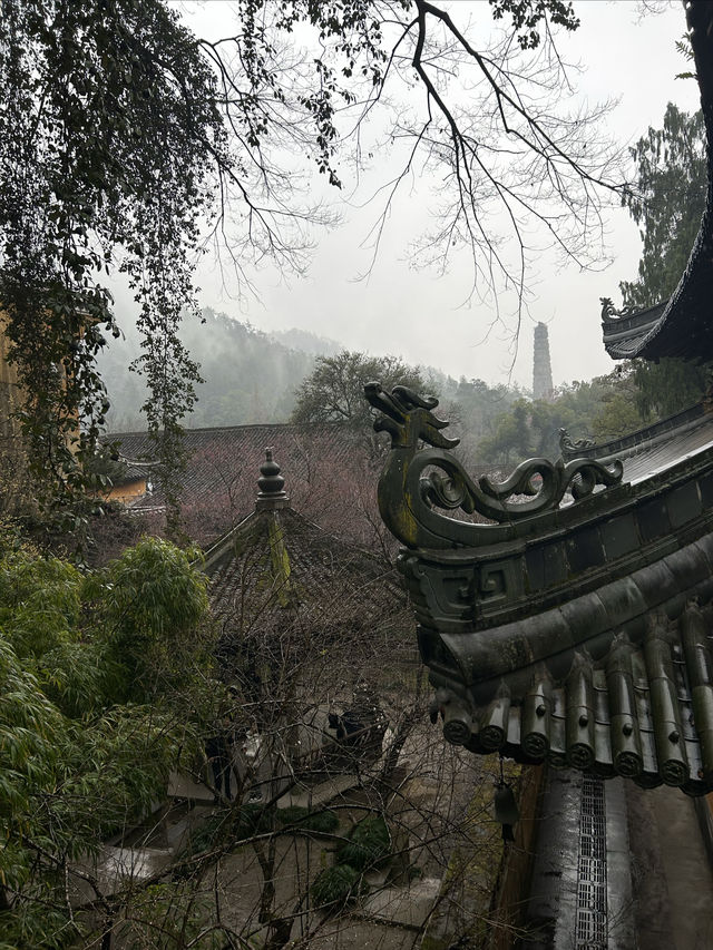 煙雨國清寺