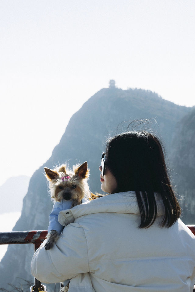 如果你是第一次來峨眉山，請務必收下這份攻略！