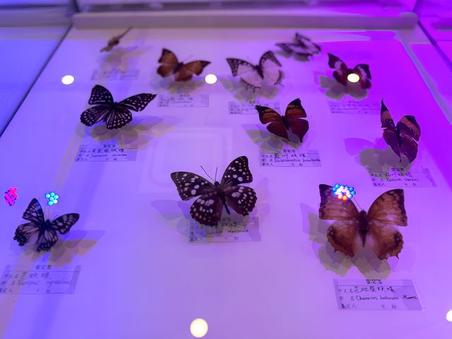 昆嵛山森林文化博物館