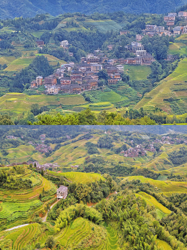 在龍脊梯田，選一個落地窗住進風景裡