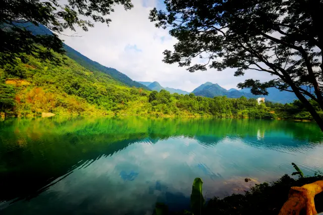 Cousin, your mom is calling you to pick strawberries