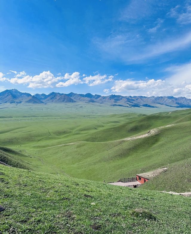 新疆那拉提草原暑期奇幻之旅