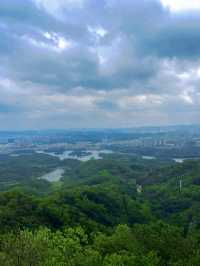 城市公園圖鑑｜去10000萬次都不夠深莞交界處的森林秘境