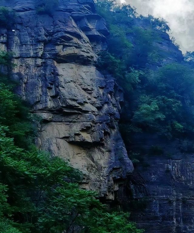 來雲台山一定要來這家民宿!小院不大但是景可美，還有幾隻喵喵～