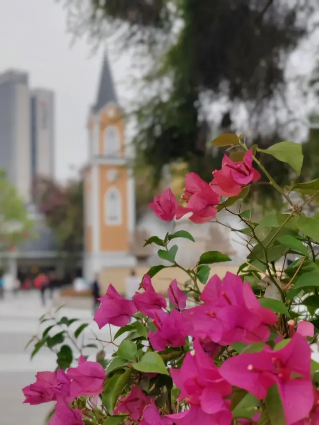 オランダの花の小さな町は、ロマンチックな花の海です