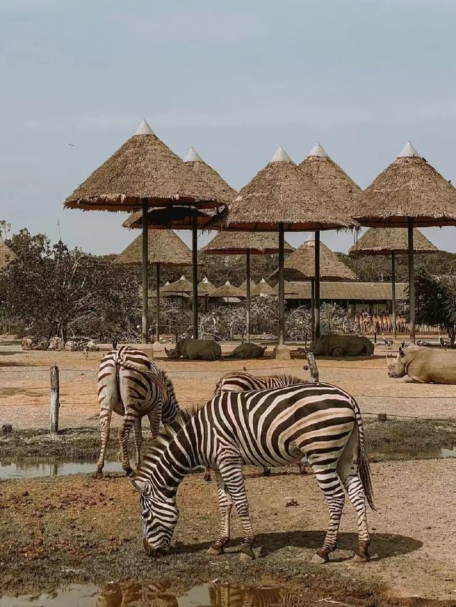 探索自然之美——曼谷野生動物世界的奇妙旅程