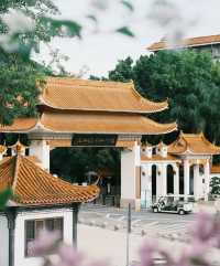 深圳「小花園」可以讓你出大片哦