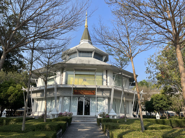 清邁｜清晨的清邁大學校園鳥語花香