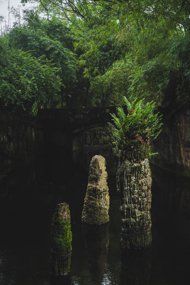 來我家鄉玩一天｜古風天花板重慶“小江南”