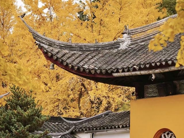 賞秋勝地 | 蘇州的秋，從寒山寺開始