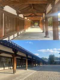 全日本深度旅遊（遊霸氣工作室）