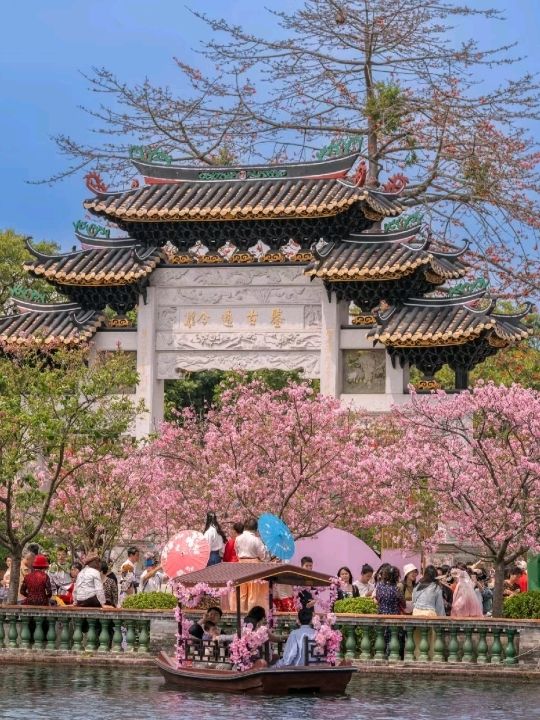 Romantic Cherry Blossoms Baomo Garden 🇨🇳