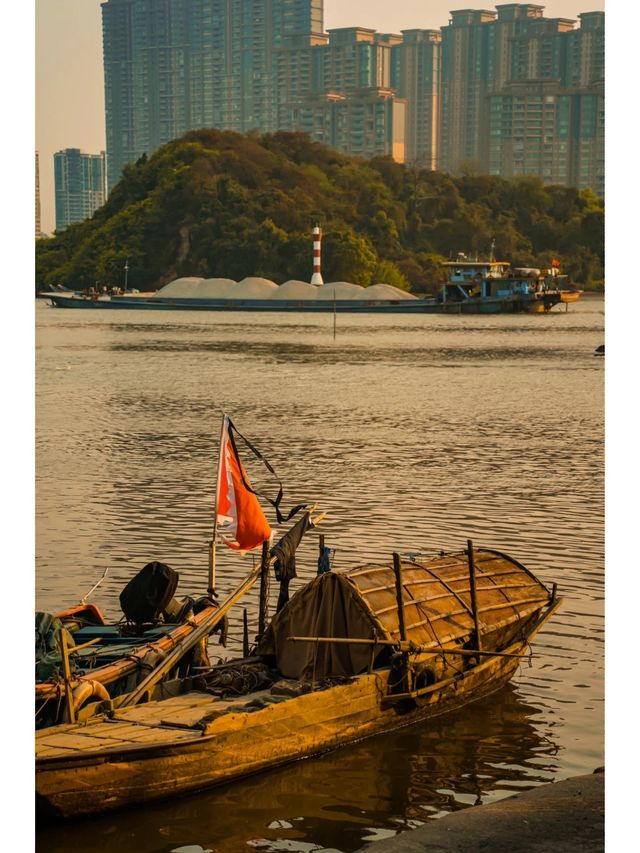 廣州春季露營·公園賞日落，感受人間皆是浪漫