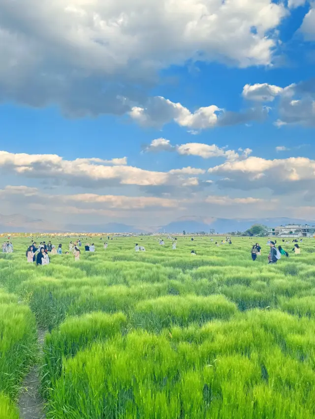 Xizhou Ancient Town Travel Guide