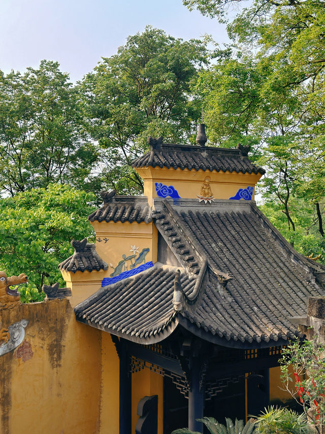 除了老君洞，重慶南山還有一座現存蕞久的千年古剎