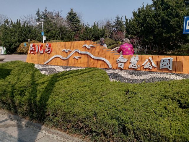 青島之行